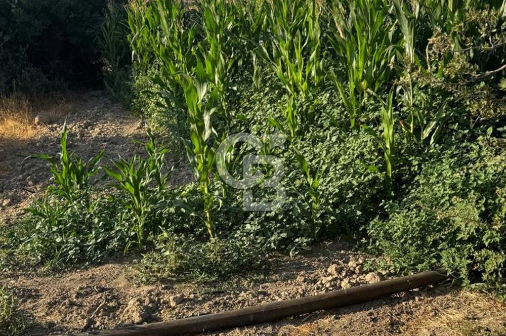 Çanakkale Merkez Gökçalı Satılık Tarla