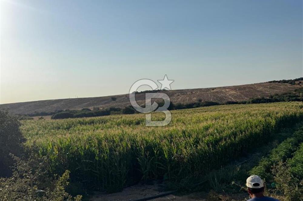 Çanakkale Merkez Gökçalı Satılık Tarla