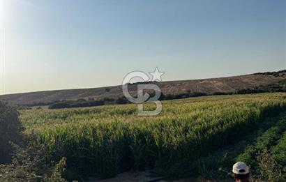Çanakkale Merkez Gökçalı Satılık Tarla