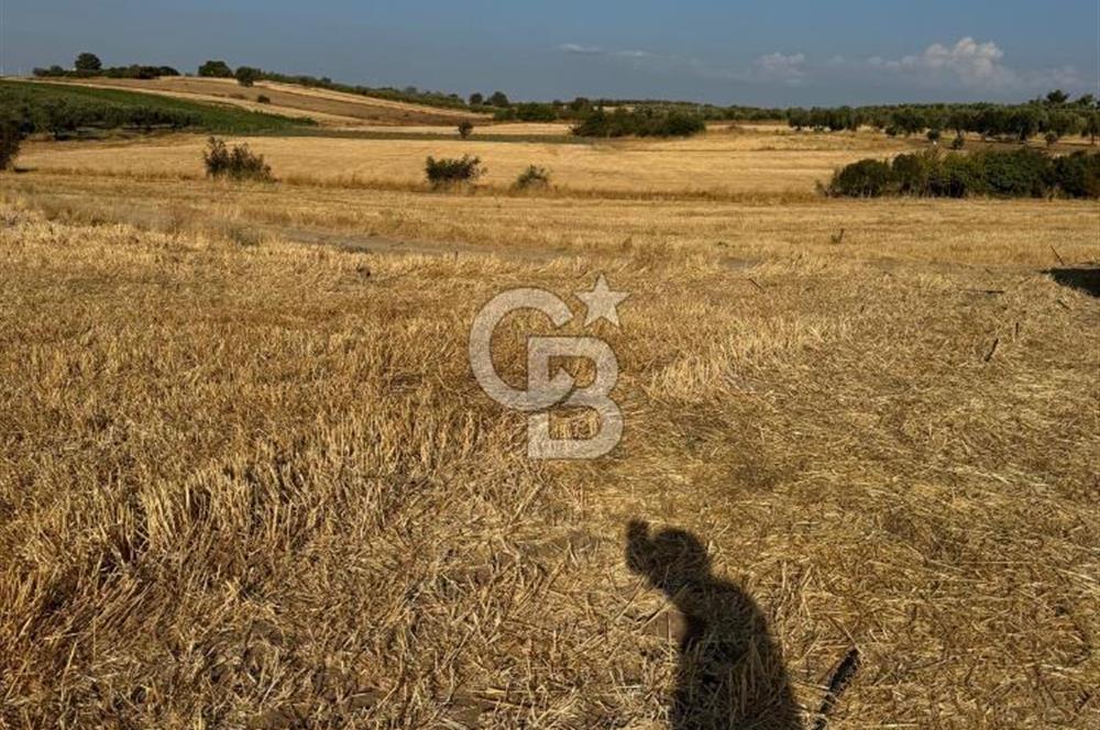 Çanakkale Merkez Gökçalı Satılık Tarla
