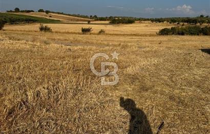 Çanakkale Merkez Gökçalı Satılık Tarla