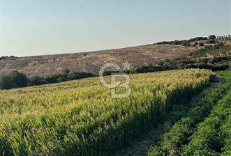 Çanakkale Merkez Gökçalı Satılık Tarla