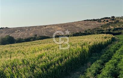 Çanakkale Merkez Gökçalı Satılık Tarla
