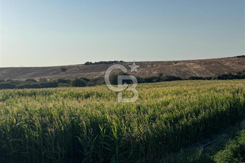 Çanakkale Merkez Gökçalı Satılık Tarla