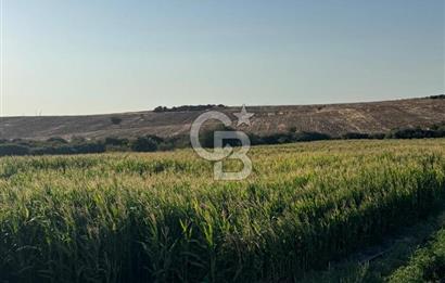 Çanakkale Merkez Gökçalı Satılık Tarla
