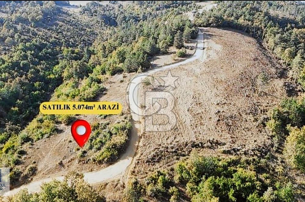 CB BLACK NİLÜFER DAĞYENİCE GÖL MANZARALI SATILIK KIYMETLİ ARAZİ*