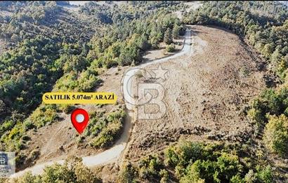 CB BLACK NİLÜFER DAĞYENİCE GÖL MANZARALI SATILIK KIYMETLİ ARAZİ*