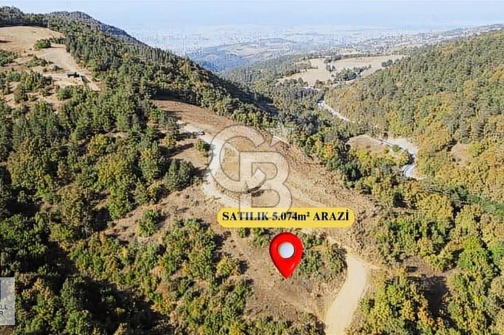 CB BLACK NİLÜFER DAĞYENİCE GÖL MANZARALI SATILIK KIYMETLİ ARAZİ*