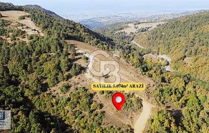 CB BLACK NİLÜFER DAĞYENİCE GÖL MANZARALI SATILIK KIYMETLİ ARAZİ*