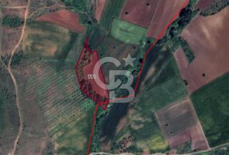 CB BLACK KARACABEY KARAKOCA SATILIK 8850M2 KIYMETLİ ARAZİ*