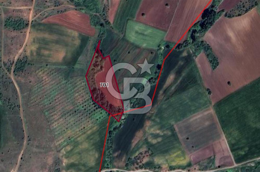 CB BLACK KARACABEY KARAKOCA SATILIK 8850M2 KIYMETLİ ARAZİ*