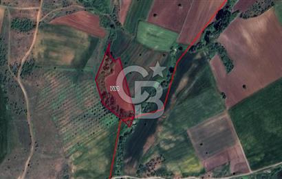 CB BLACK KARACABEY KARAKOCA SATILIK 8850M2 KIYMETLİ ARAZİ*