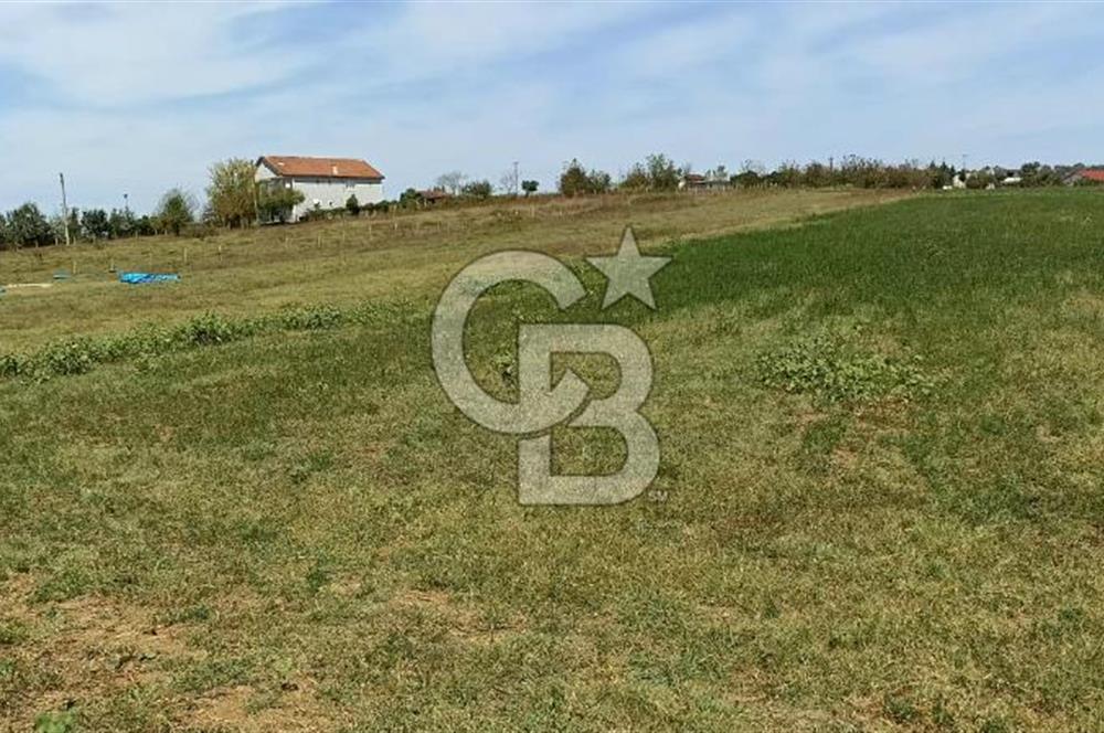 Kocaeli kandıra Hacı Şeyh köyü satılık 2450 m 2 tarla