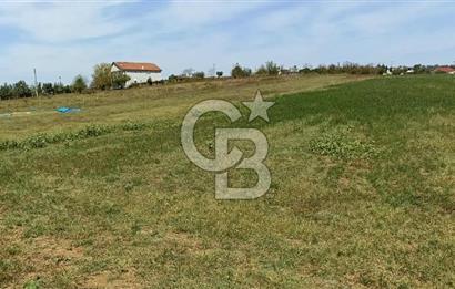 Kocaeli kandıra Hacı Şeyh köyü satılık 2450 m 2 tarla