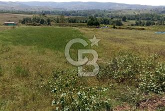 Kocaeli kandıra Hacı Şeyh köyü satılık 2450 m 2 tarla