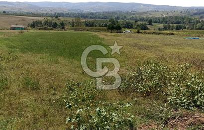 Kocaeli kandıra Hacı Şeyh köyü satılık 2450 m 2 tarla