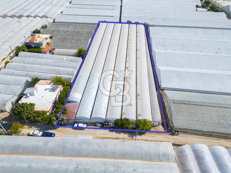 CB ARDEN'DEN DEMRE KARABUCAK SATILIK 3318 M2 MÜSTAKİL SERA