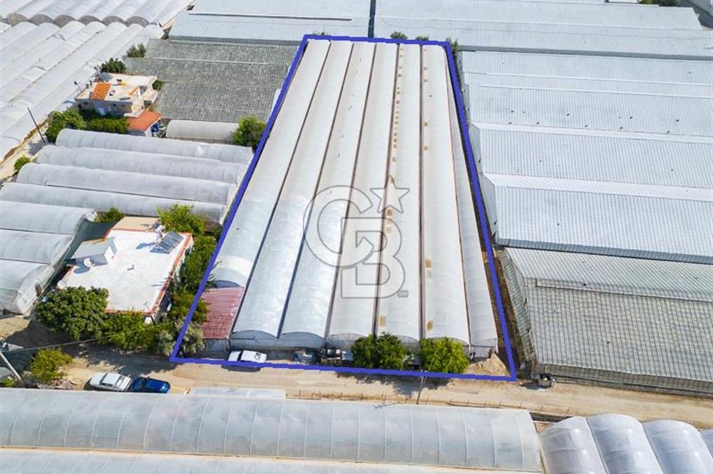 CB ARDEN'DEN DEMRE KARABUCAK SATILIK 3318 M2 MÜSTAKİL SERA
