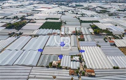 CB ARDEN'DEN DEMRE KARABUCAK SATILIK 3318 M2 MÜSTAKİL SERA
