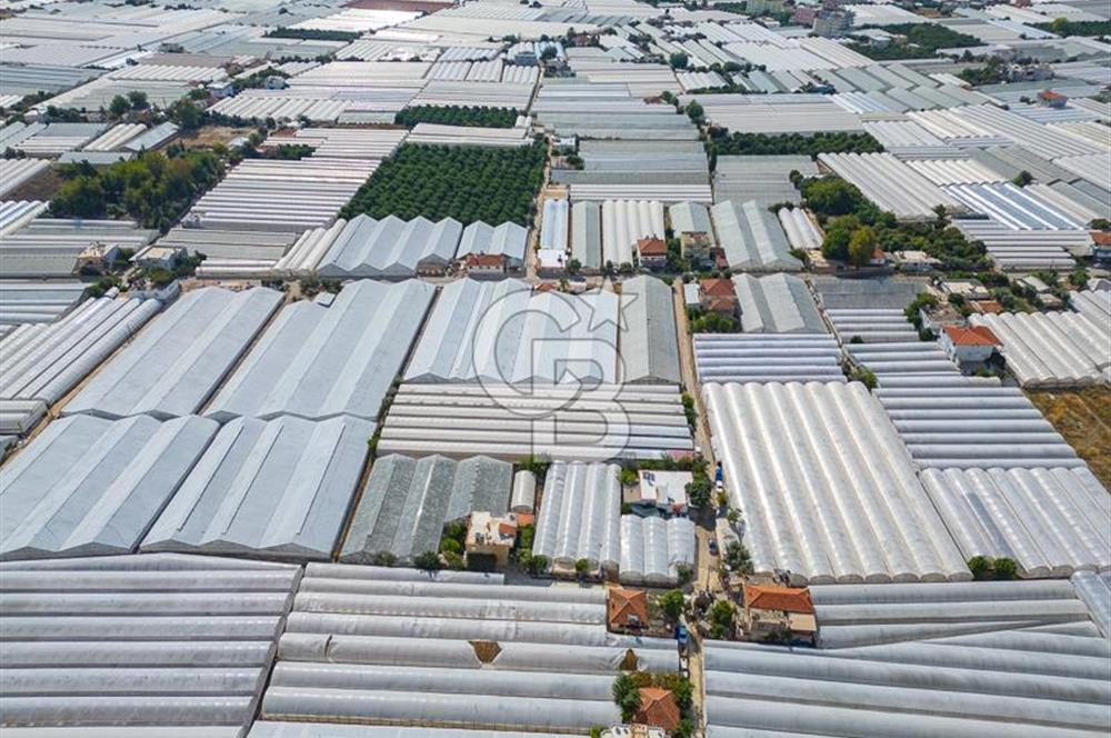 CB ARDEN'DEN DEMRE KARABUCAK SATILIK 3318 M2 MÜSTAKİL SERA