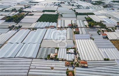 CB ARDEN'DEN DEMRE KARABUCAK SATILIK 3318 M2 MÜSTAKİL SERA