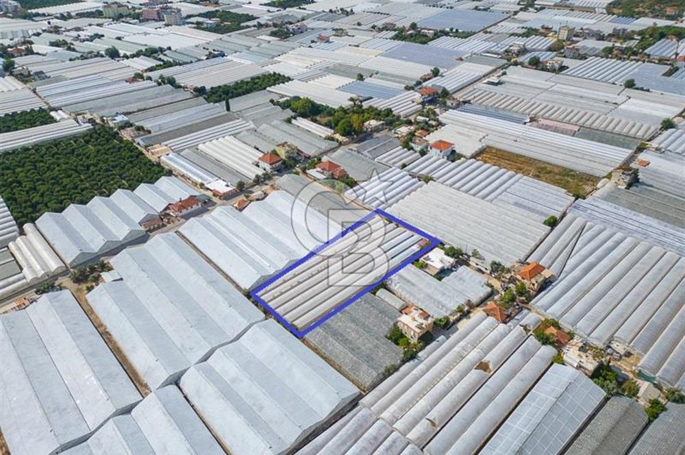 CB ARDEN'DEN DEMRE KARABUCAK SATILIK 3318 M2 MÜSTAKİL SERA