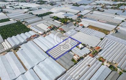 CB ARDEN'DEN DEMRE KARABUCAK SATILIK 3318 M2 MÜSTAKİL SERA