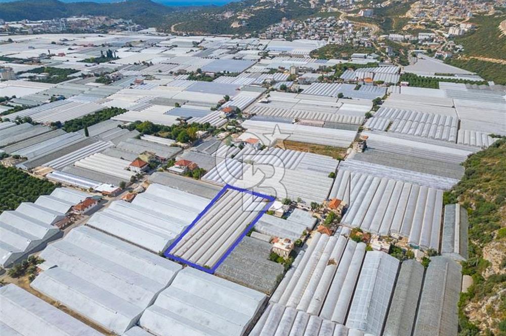 CB ARDEN'DEN DEMRE KARABUCAK SATILIK 3318 M2 MÜSTAKİL SERA
