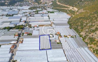 CB ARDEN'DEN DEMRE KARABUCAK SATILIK 3318 M2 MÜSTAKİL SERA