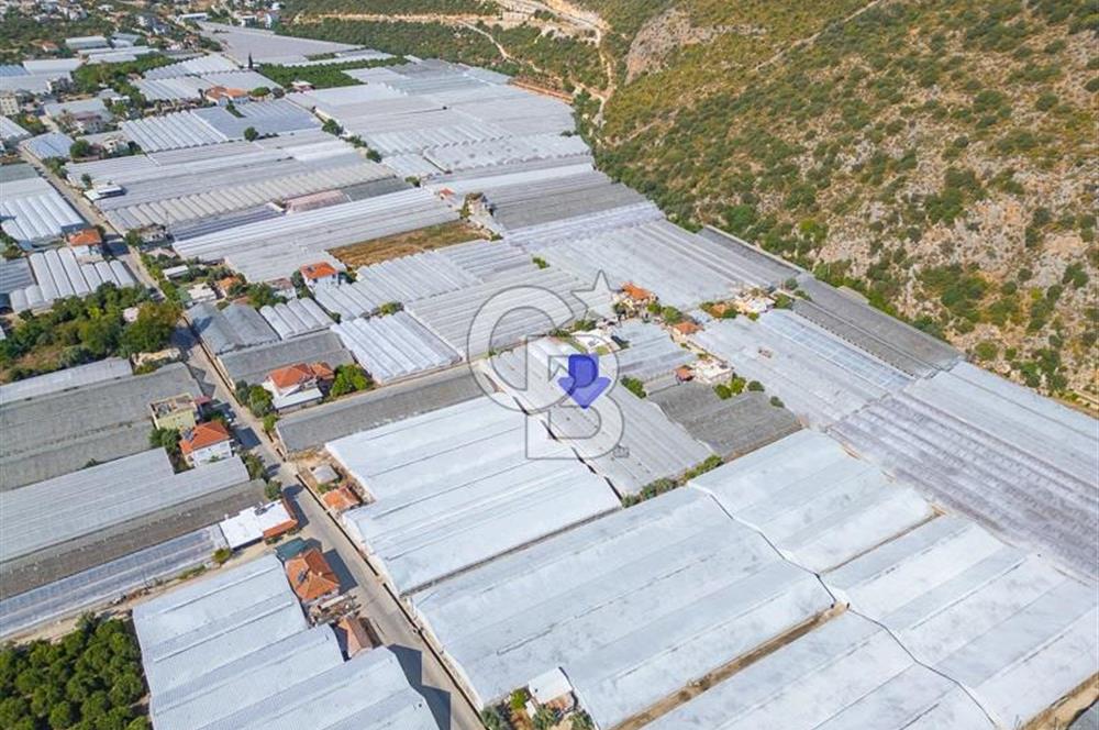 CB ARDEN'DEN DEMRE KARABUCAK SATILIK 3318 M2 MÜSTAKİL SERA