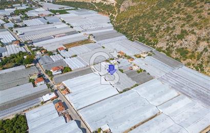 CB ARDEN'DEN DEMRE KARABUCAK SATILIK 3318 M2 MÜSTAKİL SERA