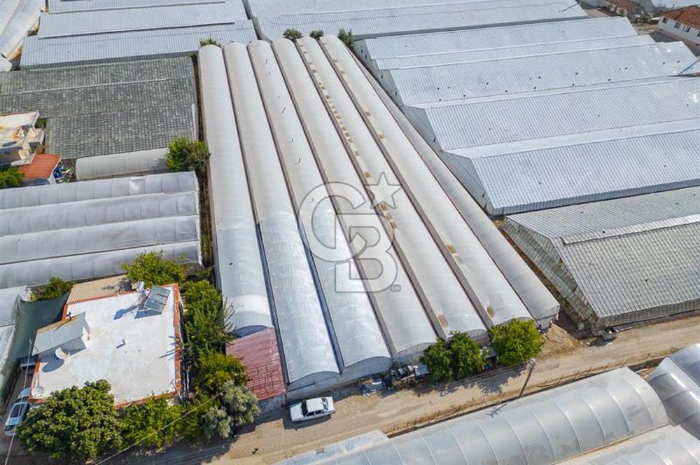 CB ARDEN'DEN DEMRE KARABUCAK SATILIK 3318 M2 MÜSTAKİL SERA