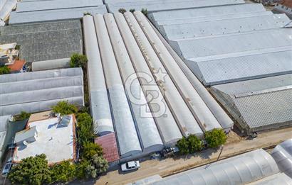 CB ARDEN'DEN DEMRE KARABUCAK SATILIK 3318 M2 MÜSTAKİL SERA