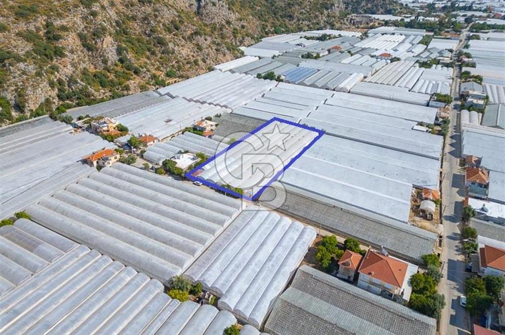 CB ARDEN'DEN DEMRE KARABUCAK SATILIK 3318 M2 MÜSTAKİL SERA