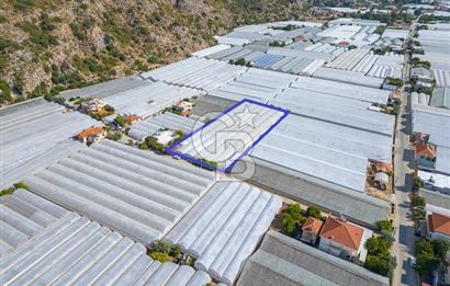CB ARDEN'DEN DEMRE KARABUCAK SATILIK 3318 M2 MÜSTAKİL SERA