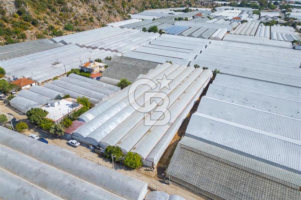 CB ARDEN'DEN DEMRE KARABUCAK SATILIK 3318 M2 MÜSTAKİL SERA