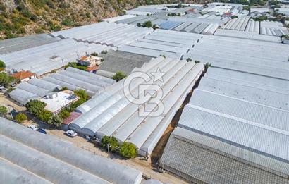 CB ARDEN'DEN DEMRE KARABUCAK SATILIK 3318 M2 MÜSTAKİL SERA