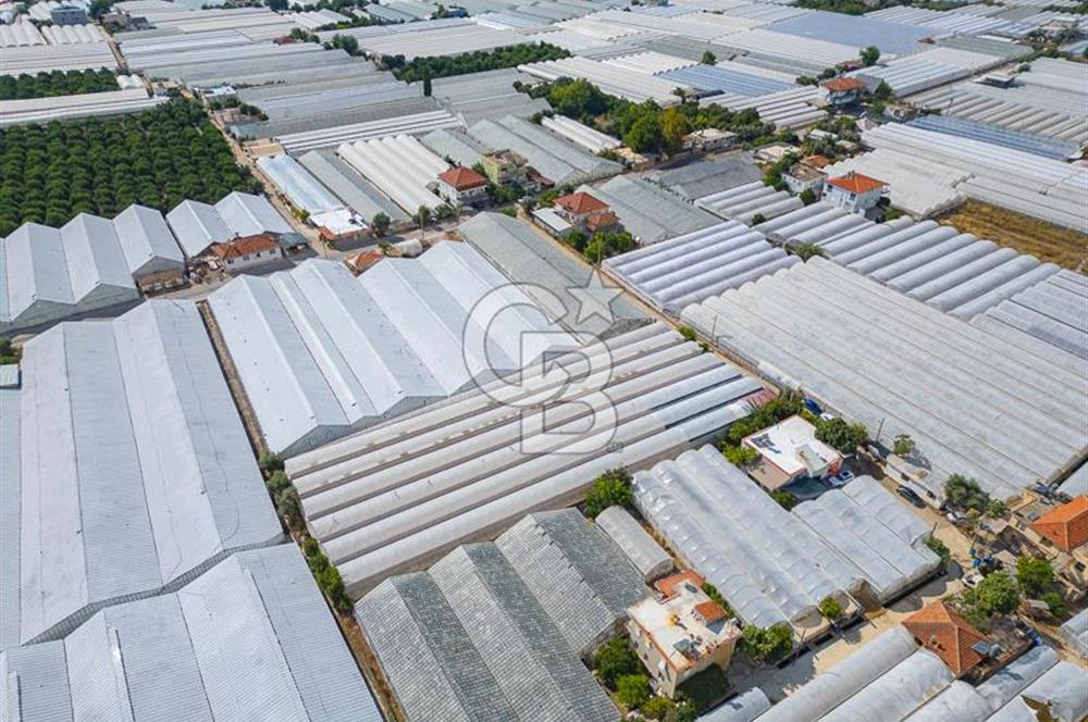 CB ARDEN'DEN DEMRE KARABUCAK SATILIK 3318 M2 MÜSTAKİL SERA