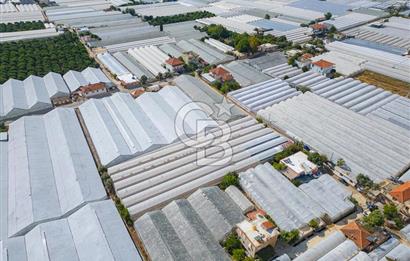 CB ARDEN'DEN DEMRE KARABUCAK SATILIK 3318 M2 MÜSTAKİL SERA