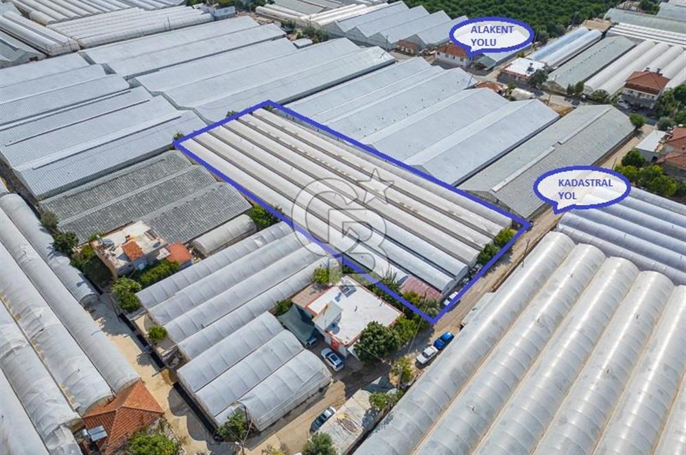 CB ARDEN'DEN DEMRE KARABUCAK SATILIK 3318 M2 MÜSTAKİL SERA