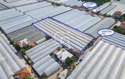 CB ARDEN'DEN DEMRE KARABUCAK SATILIK 3318 M2 MÜSTAKİL SERA