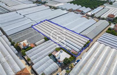CB ARDEN'DEN DEMRE KARABUCAK SATILIK 3318 M2 MÜSTAKİL SERA