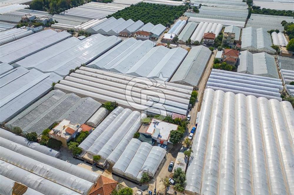 CB ARDEN'DEN DEMRE KARABUCAK SATILIK 3318 M2 MÜSTAKİL SERA
