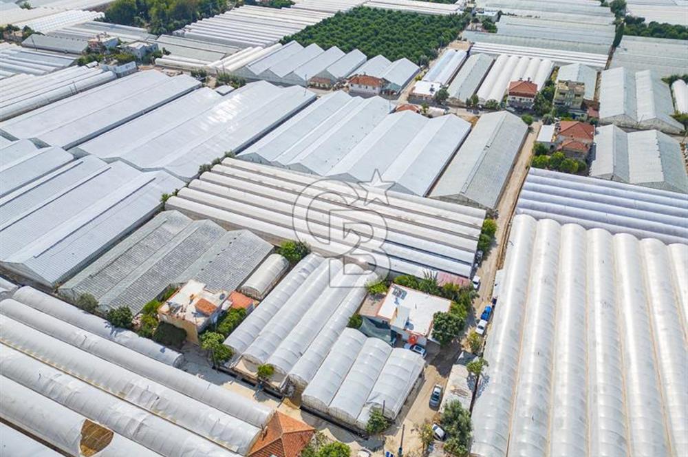 CB ARDEN'DEN DEMRE KARABUCAK SATILIK 3318 M2 MÜSTAKİL SERA