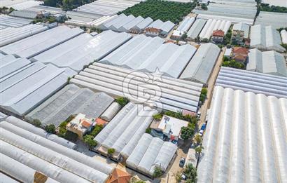 CB ARDEN'DEN DEMRE KARABUCAK SATILIK 3318 M2 MÜSTAKİL SERA