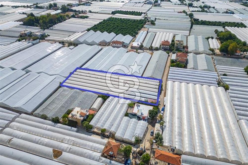 CB ARDEN'DEN DEMRE KARABUCAK SATILIK 3318 M2 MÜSTAKİL SERA