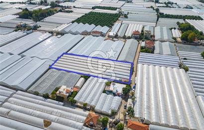 CB ARDEN'DEN DEMRE KARABUCAK SATILIK 3318 M2 MÜSTAKİL SERA