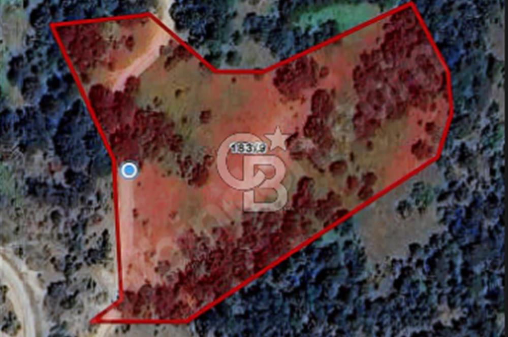 CB BLACK'TEN DOĞANCI SATILIK MANZARALI 9342M2 ARAZİ