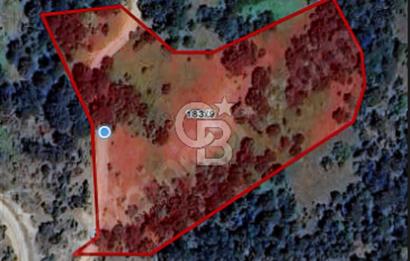 CB BLACK'TEN DOĞANCI SATILIK MANZARALI 9342M2 ARAZİ
