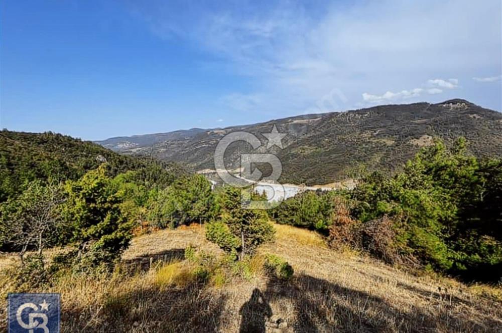 CB BLACK'TEN DOĞANCI SATILIK MANZARALI 9342M2 ARAZİ
